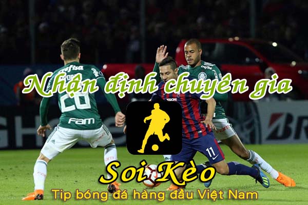 Nhận định Soi Kèo Cerro Porteno vs Palmeiras